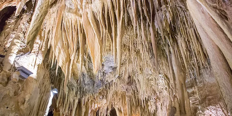 entorno sierra de la rioja cuevas ortigosa