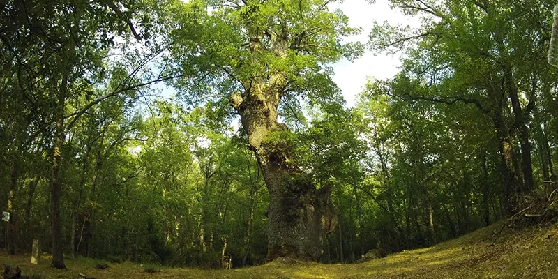 entorno sierra de la rioja ribavellosa